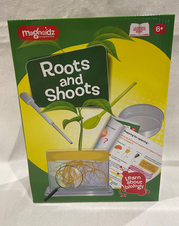 Roots and shoots science experiment STEM STEAM activity 