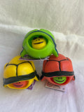 Pop head Turtle fidget sensory toy